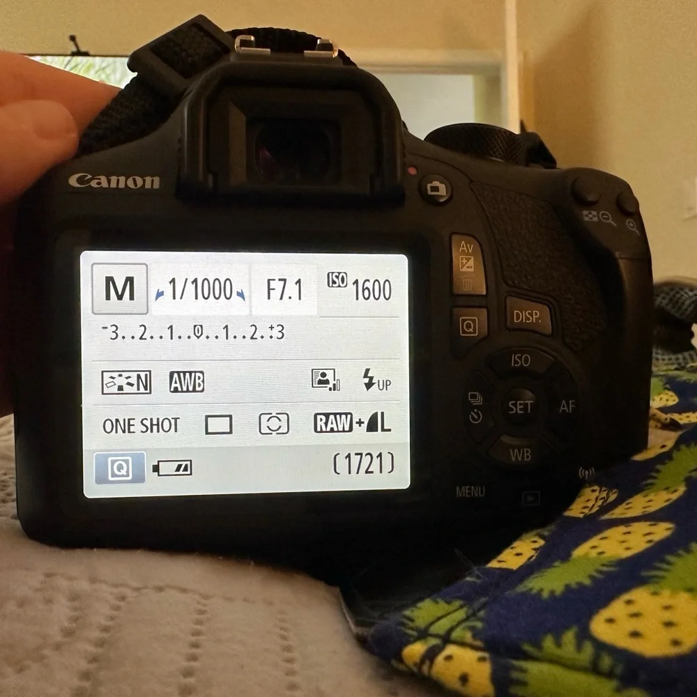 Canon EOS Rebel T6